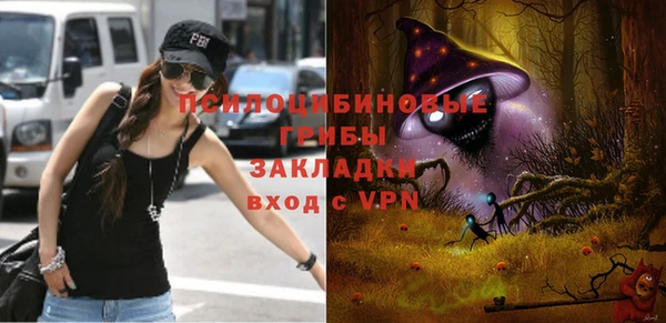 ешки Алзамай