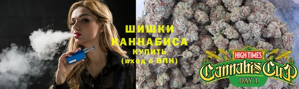 ешки Алзамай